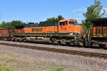 BNSF 1036 Roster shot.